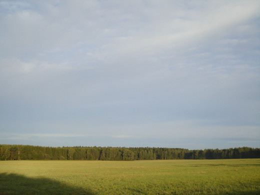 23457 (a): :1024x768
